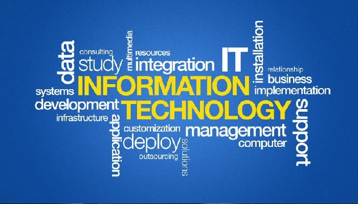 most profitable business in Dubai 2021 Information Technology (IT)