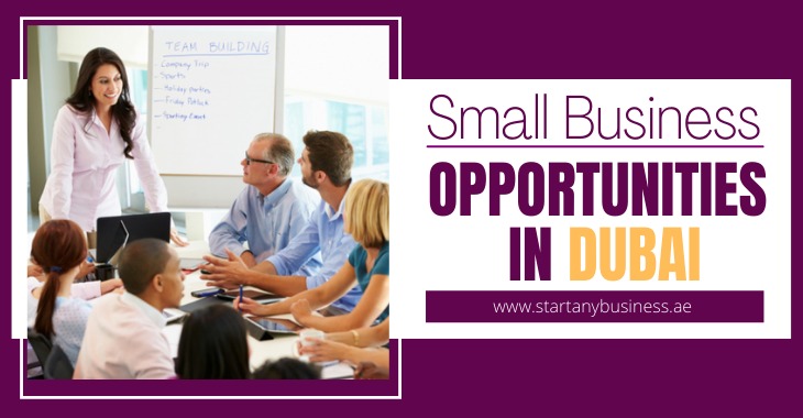 You are currently viewing Small Business Opportunities In Dubai 2024