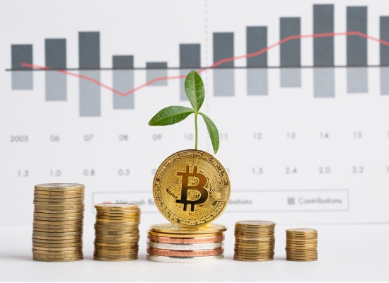 Asset Evaluation Company