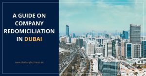 Read more about the article A Guide on Company Redomiciliation in Dubai