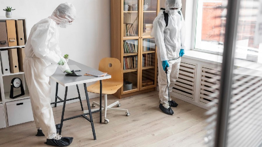 What Does a Pest Control Business Do