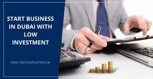 Read more about the article Start Business in Dubai with Low Investment