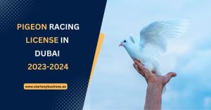 Read more about the article Pigeon Racing License in Dubai 2023-2024