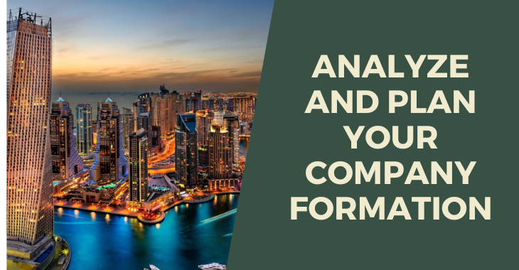 Analyze and Plan Your Company Formation