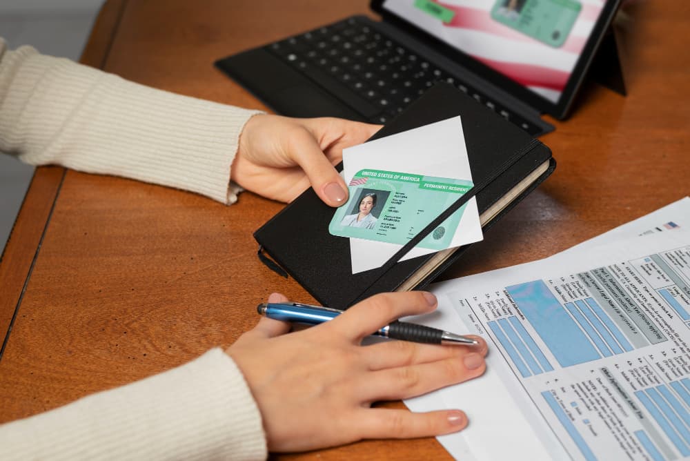 DED License in the UAE