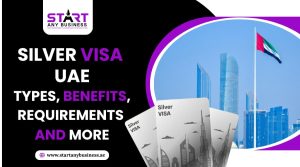 Read more about the article Silver Visa UAE – Types, Benefits, Requirements, and More